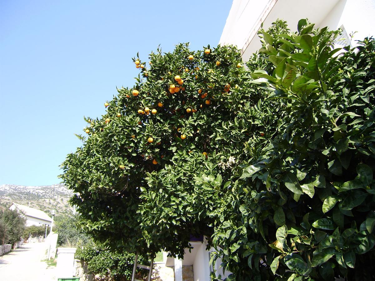 Bed and Breakfast Pansion Braco Zavala Exterior foto